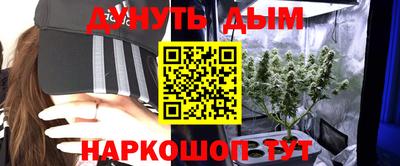 гидропоника Бердск