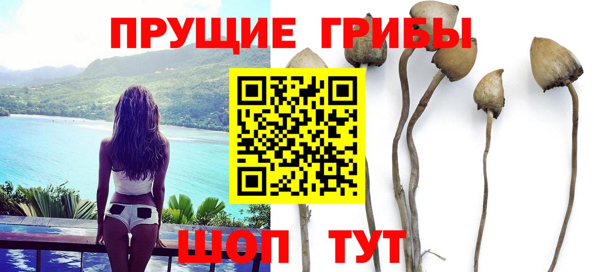 Верхняя Салда  Галлюциногенные грибы MAGIC MUSHROOMS  Галлюциногенные грибы мухоморы  Вход с VPN 