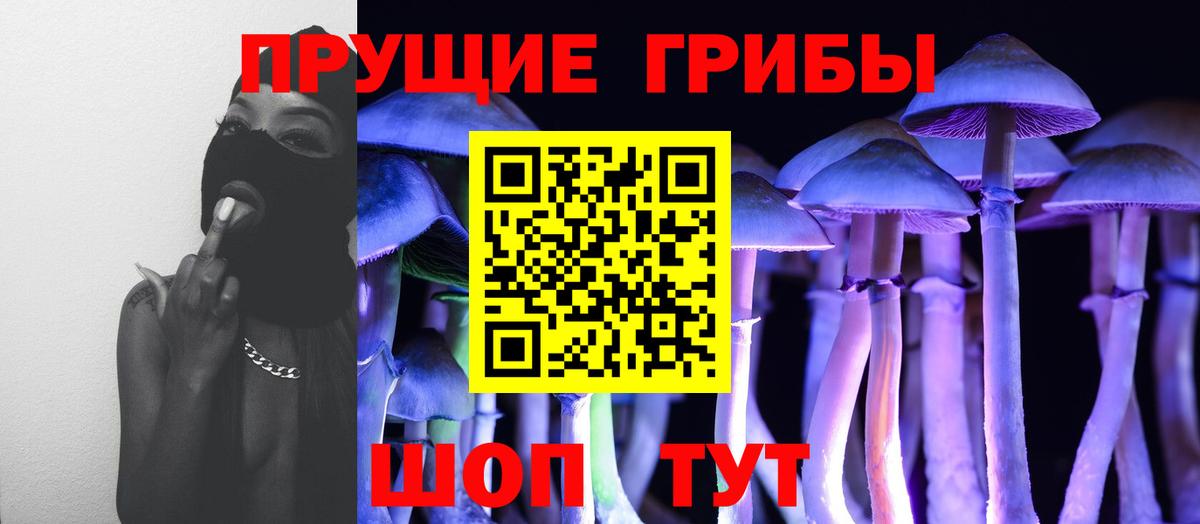 Галлюциногенные грибы Psilocybine cubensis Верхняя Салда